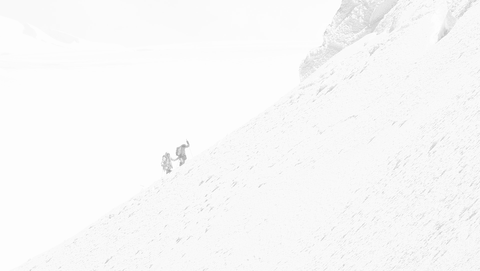 Opinoión cliente MOVA