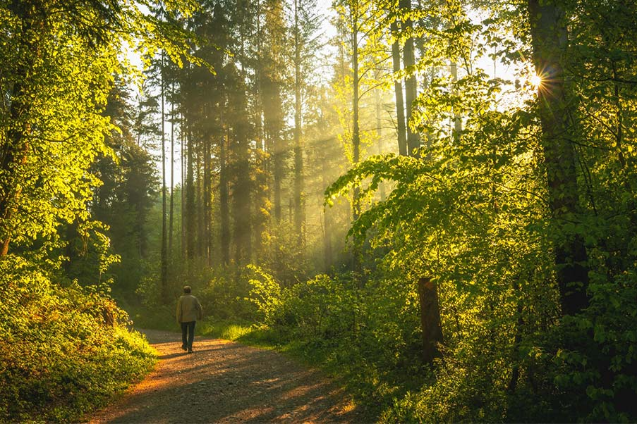 Certificar la huella de carbono