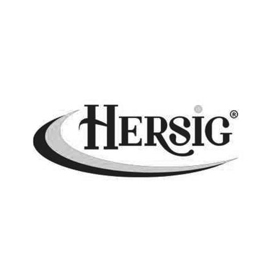 Hersig logo