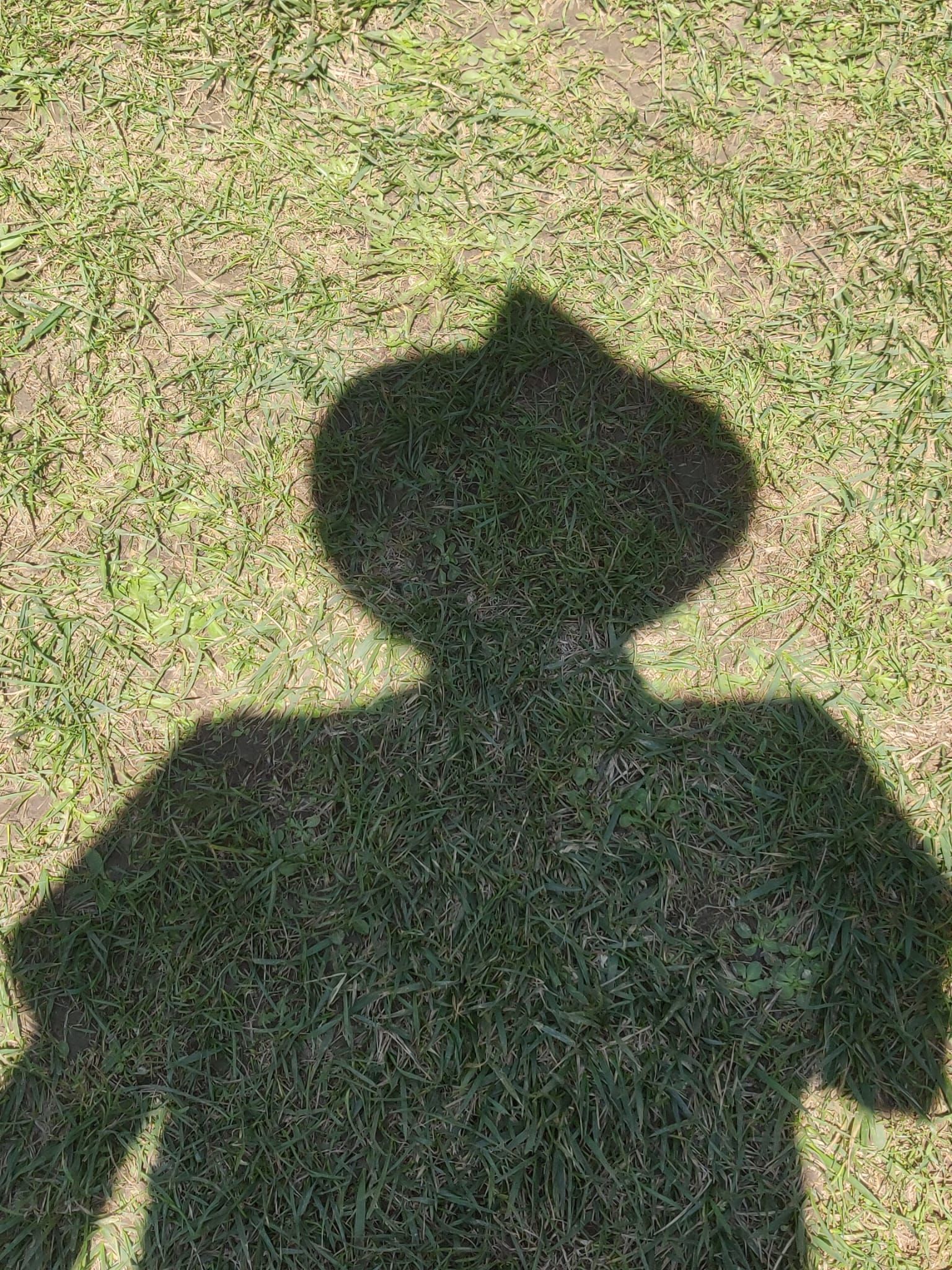 Marcos Huarte Marcos Huarte