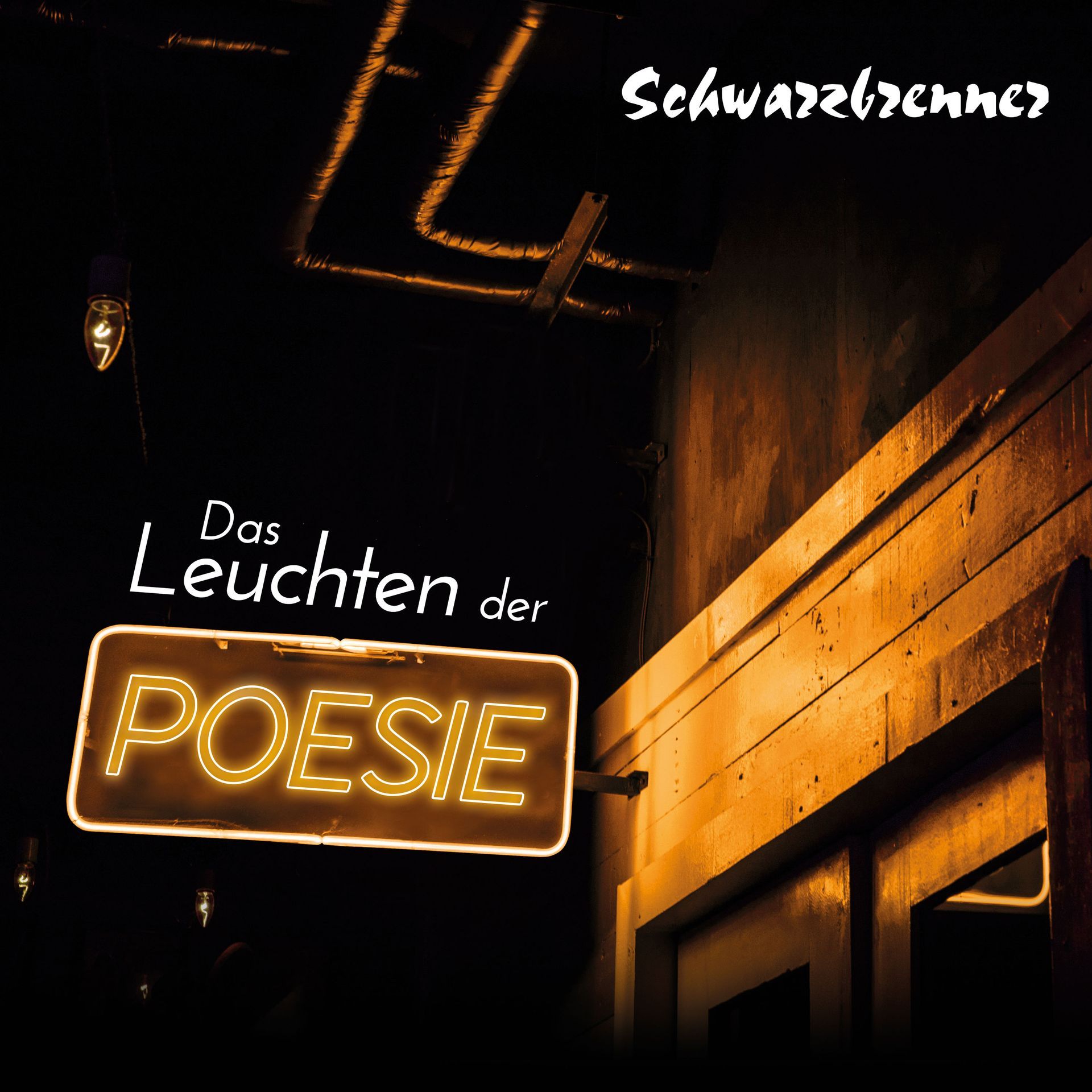 CD Cover Das Leuchten der Poesie