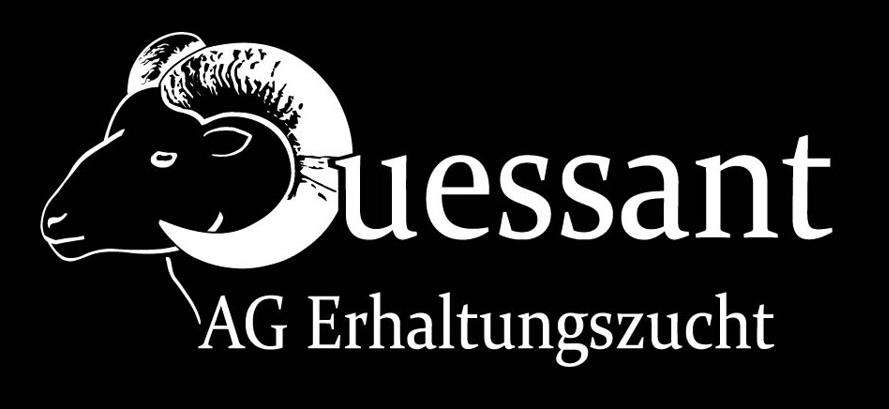 Arbeitsgemeinschaft Erhaltungszucht igou ouessantschaf ouessantchaf quessantschaf