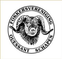 Fokkersvereniging Ouessant Schapen Zwergschafe Ouessantschafe F.O.S.