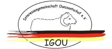 Interessengemeinschaft Ouessantschaf igou_ouessantschaf_ouessant-schaf_quessantschaf