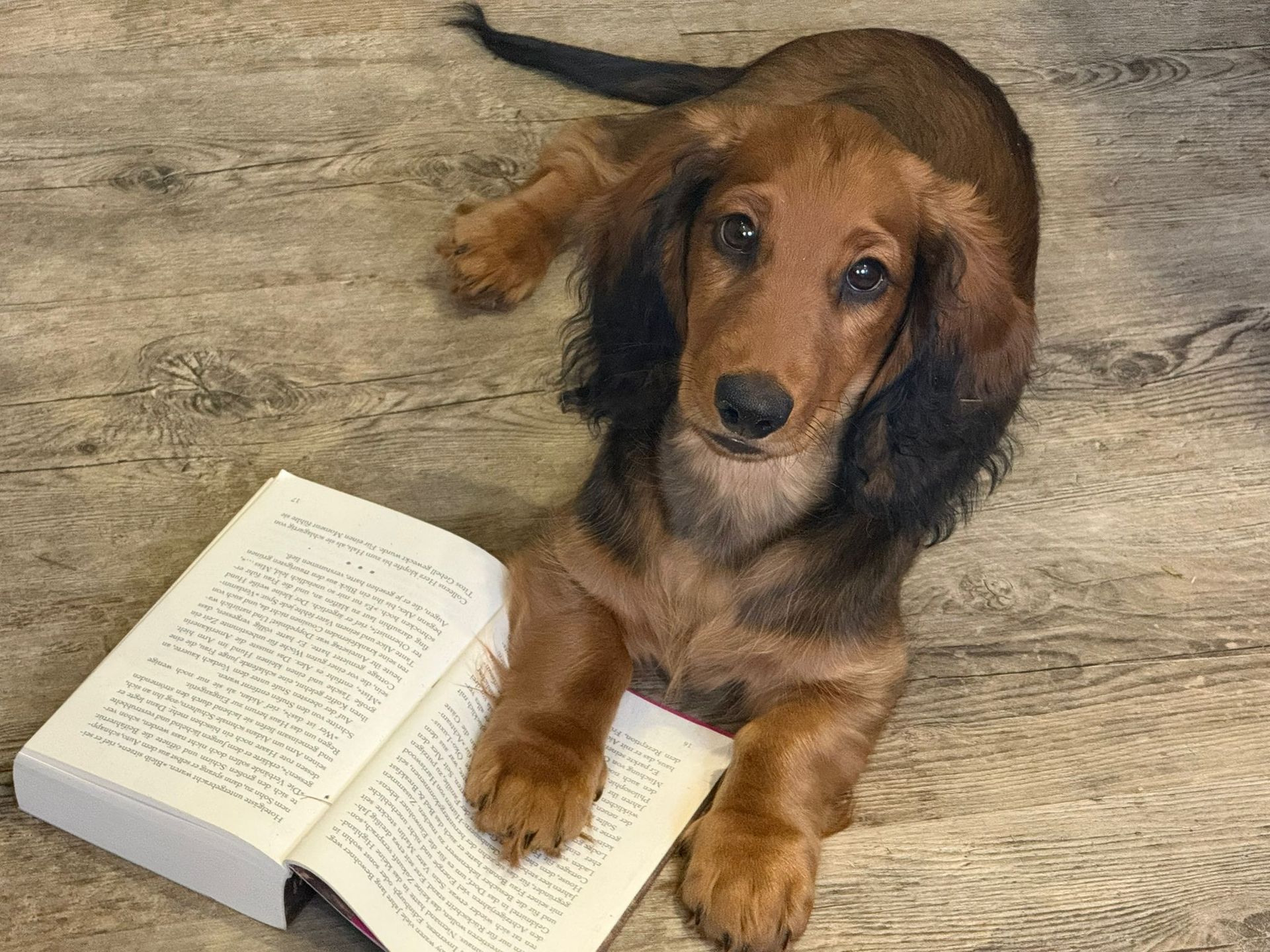 Ein Platz an der Sonne