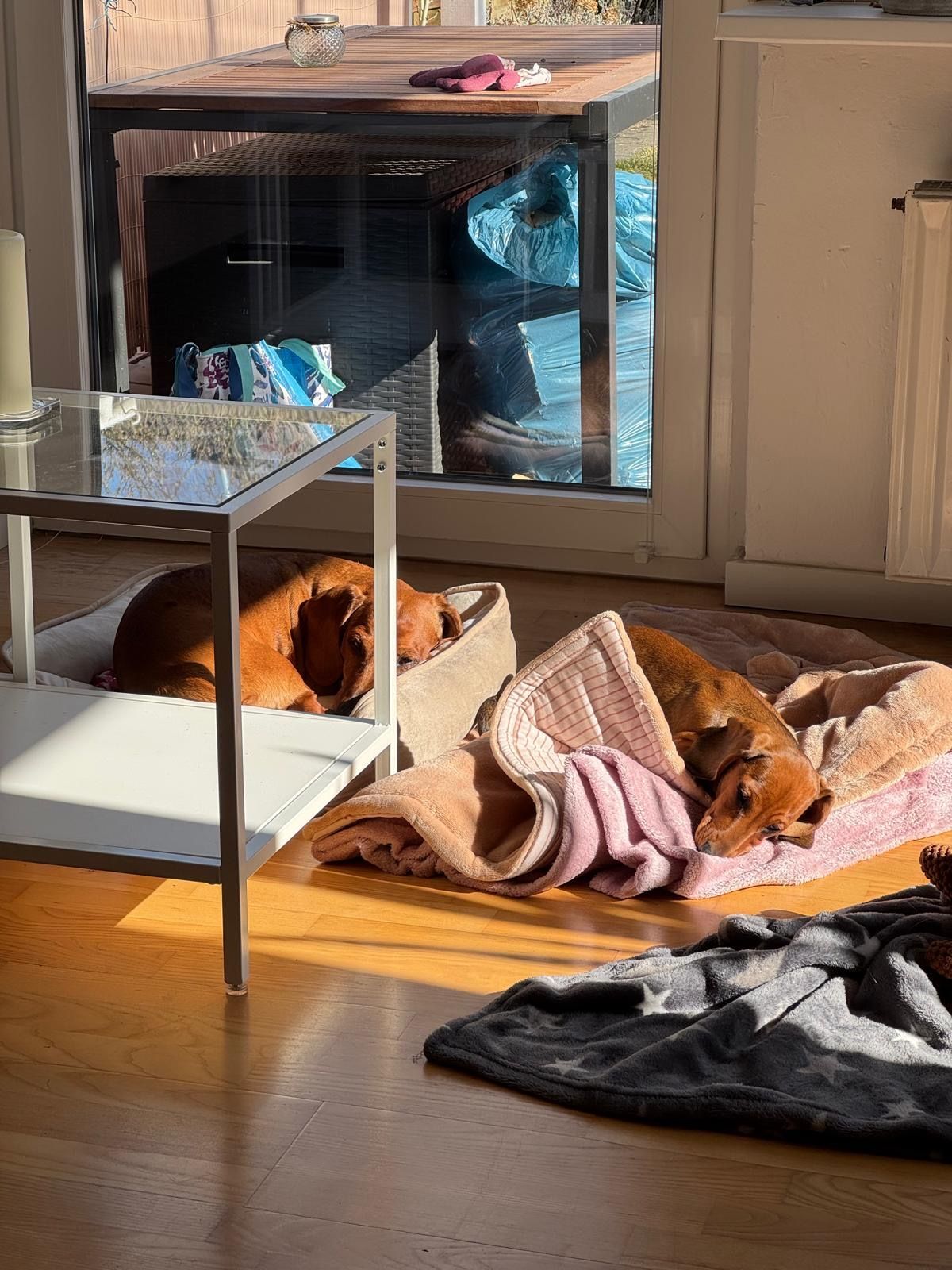 Ein Platz an der Sonne