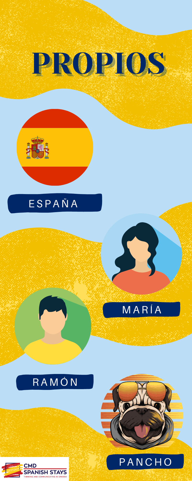 Download Spanish noun infographic