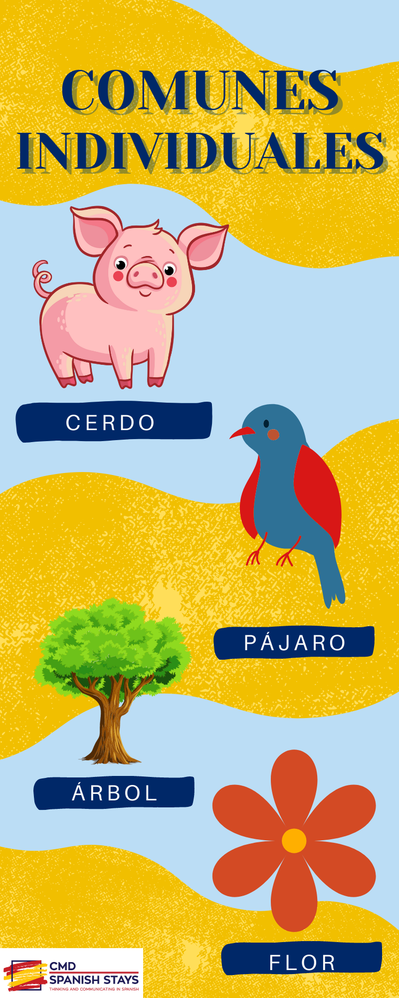Download Spanish teaching nouns infographic