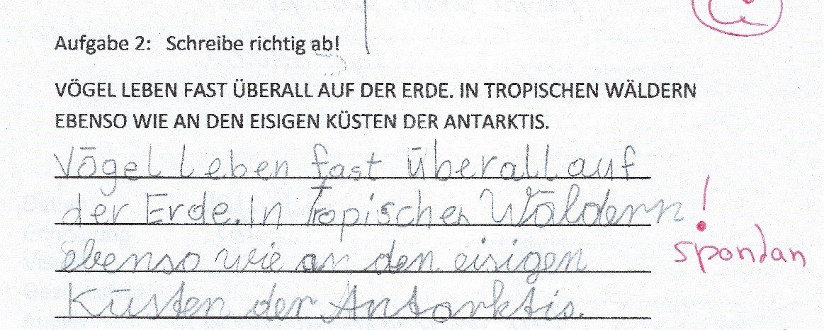 Lerntraining, Schriftprobe