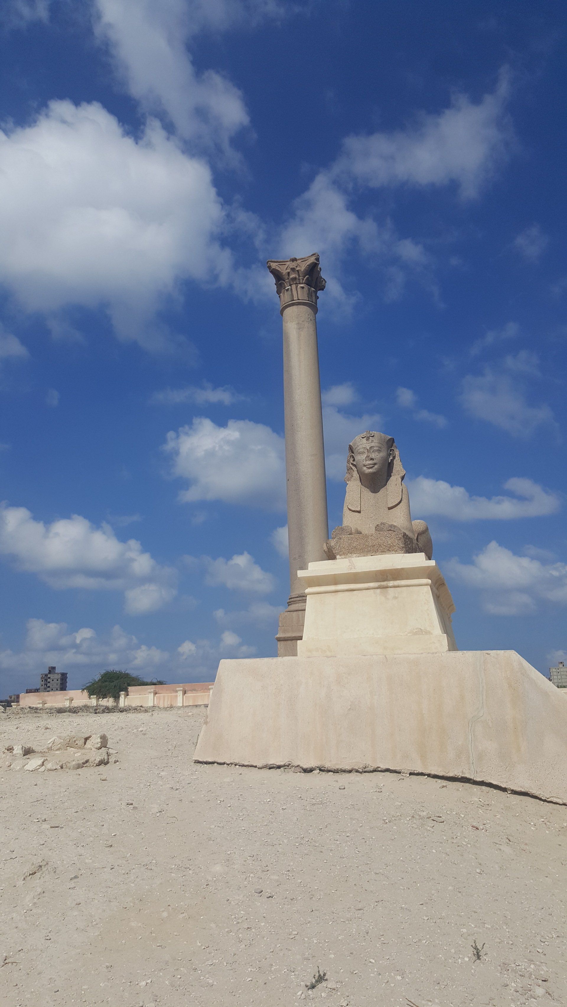 coloone de pompei visite d'alexandrie