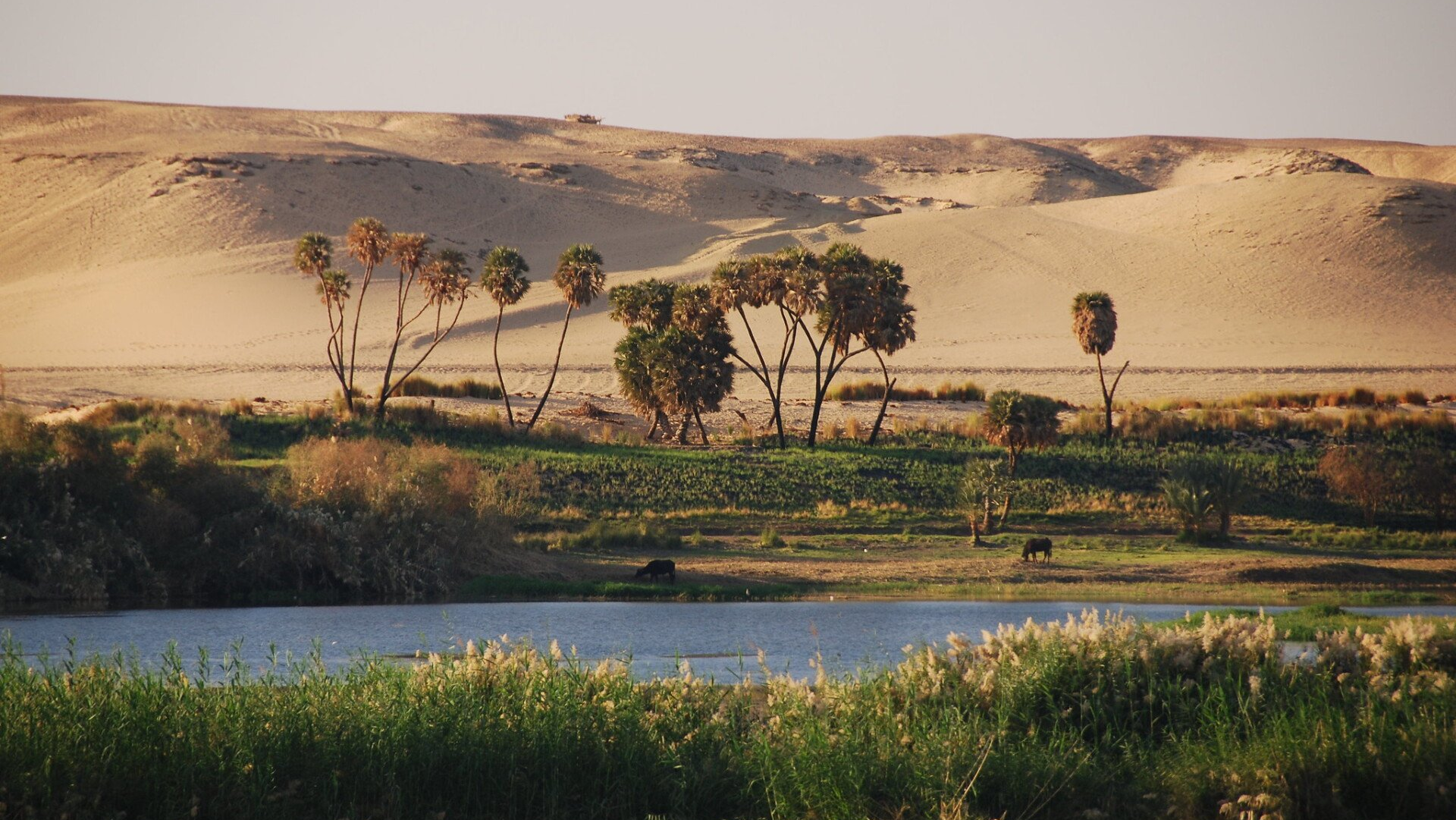 vue du Nil entre Louxor et Assouan