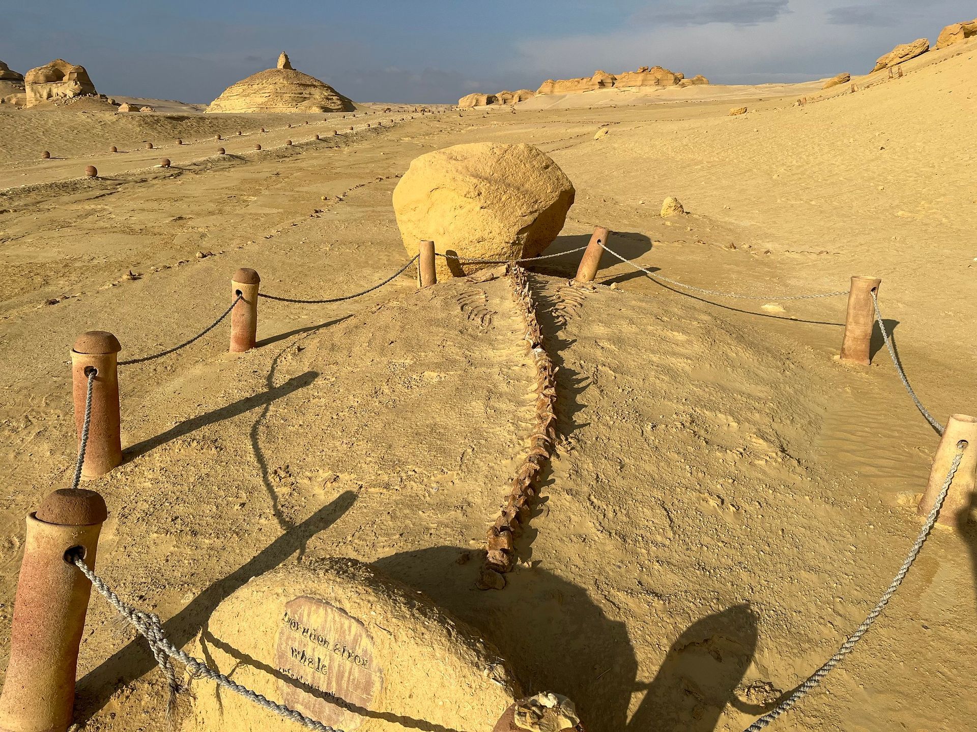 Fayoum : Wadi al-Hitan ou désert des baleines, un paysage magique