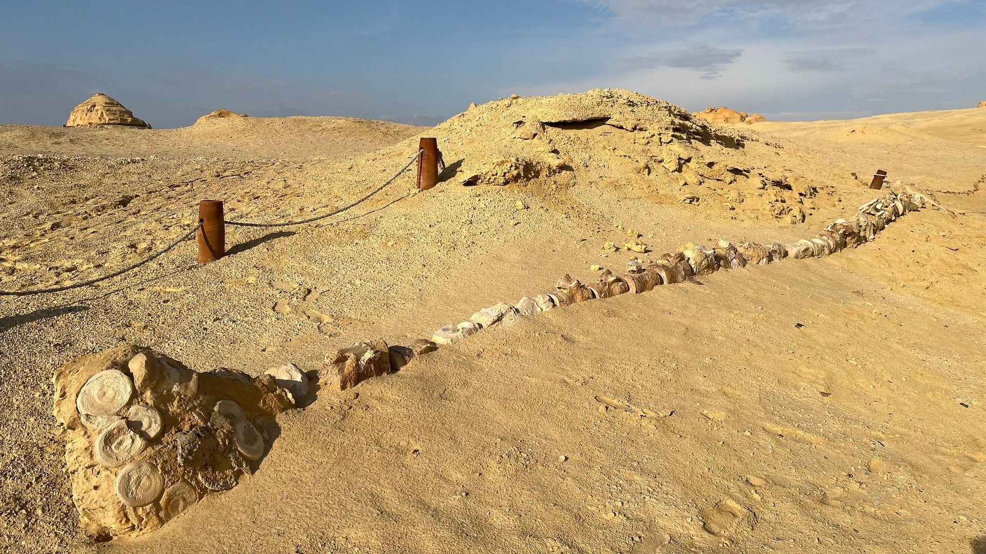Wadi al-Hitan, le désert des baleines dans le Fayoum en Egypte