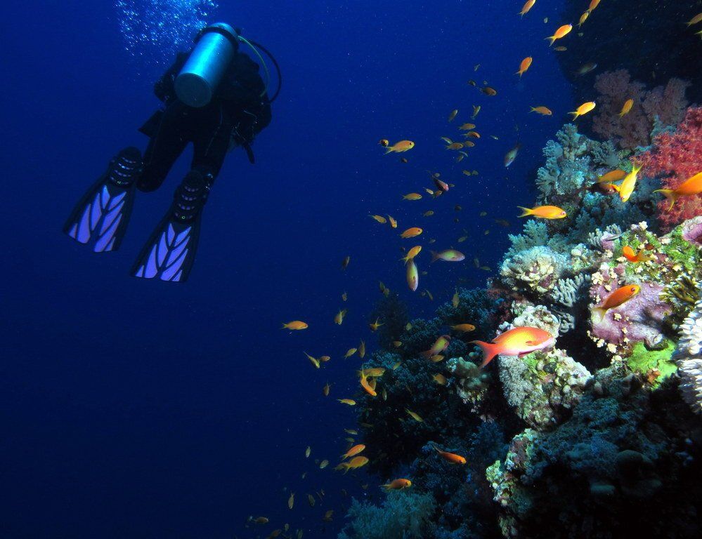Croisière en Mer Rouge / Safari de plongée en Egypte Hurghada