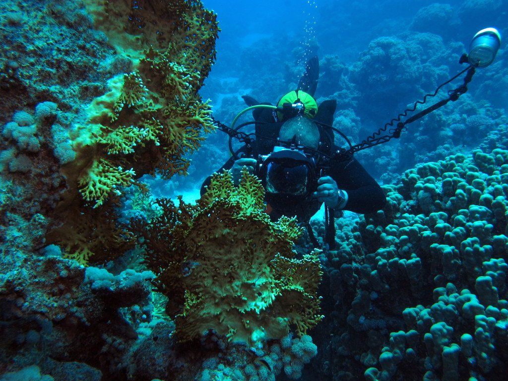 Croisière en Mer Rouge / Safari de plongée en Egypte Safaga