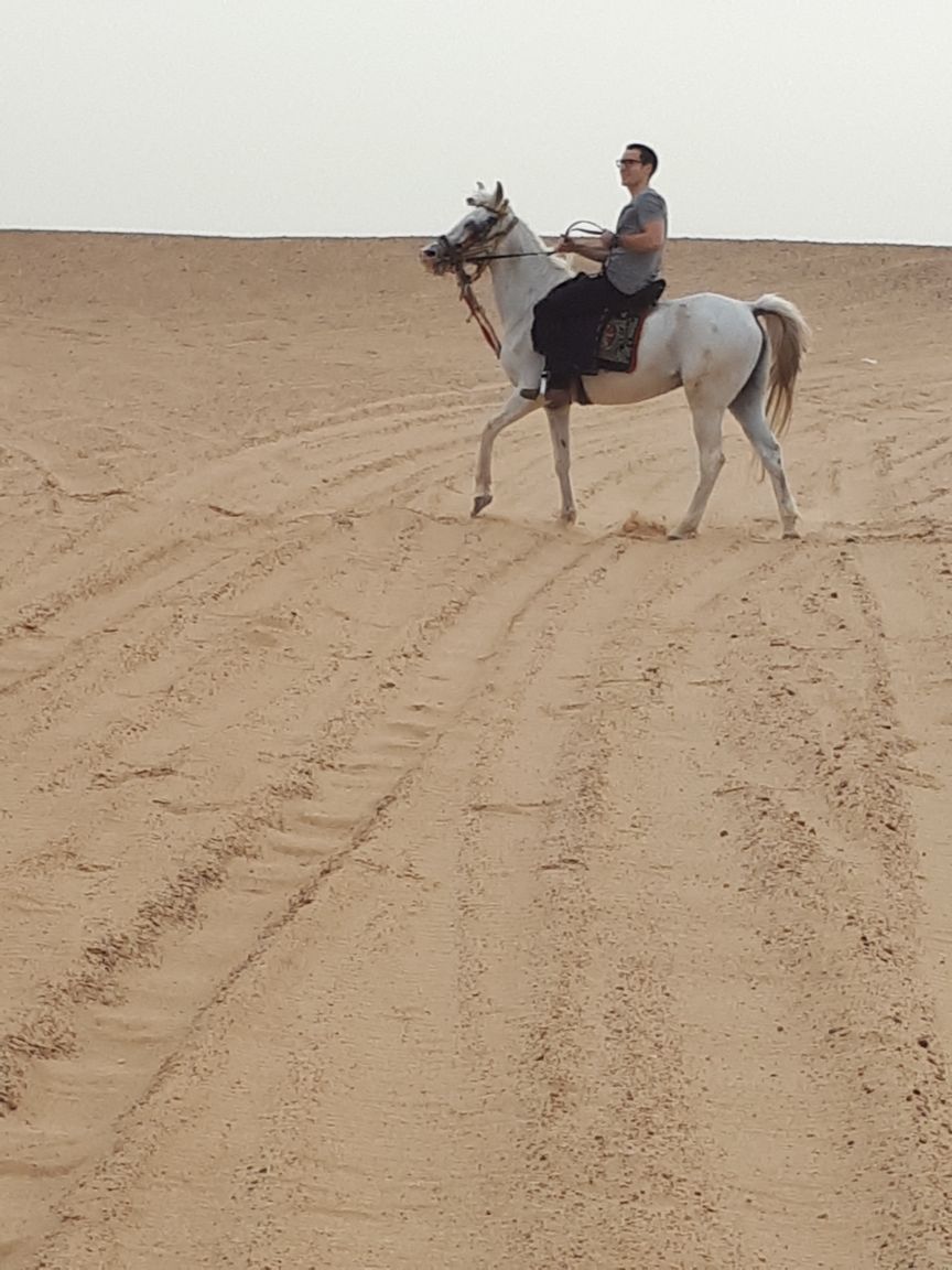 sortie à cheval dans le désert de sakkara en égypte