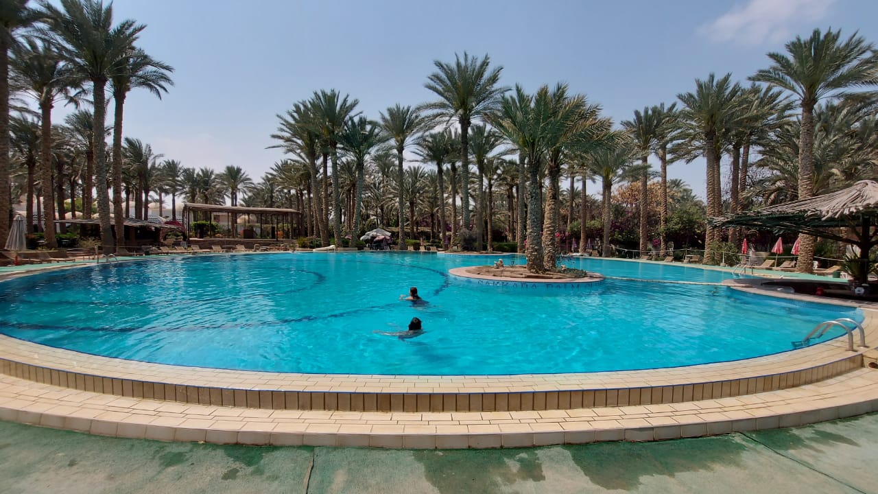 Journée détente piscine le caire égypte