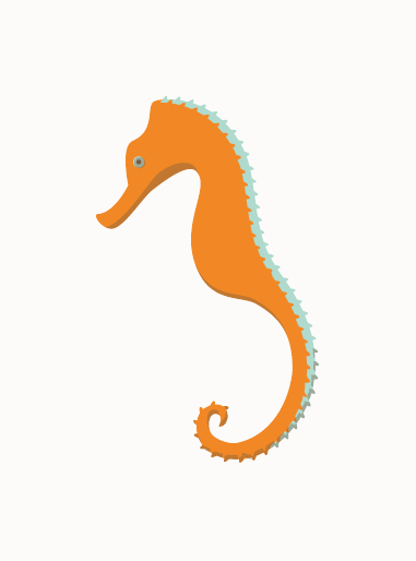 Ferienapartment Caballito del mar, Petra Ites