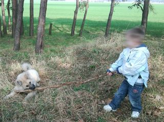 Eingewöhnung Eingewöhnung in die Tagespflegestelle
