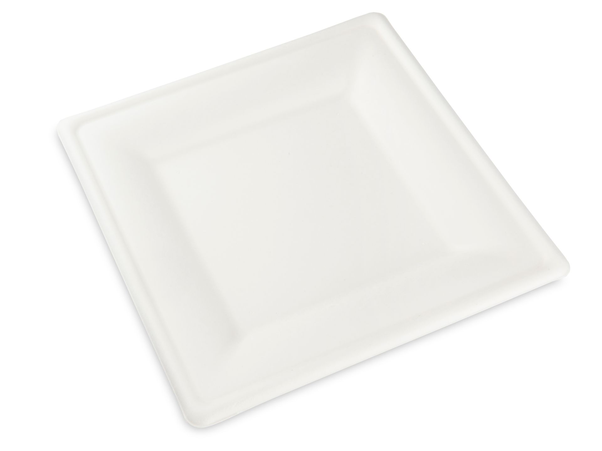 Bagasse Teller quadratisch 20x20cm Bagasse Teller quadratisch 20x20cm