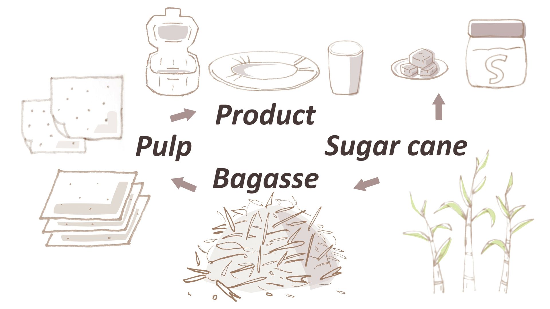 Waste-to-Value Kreislauf von Bagasse Waste-to-Value Kreislauf von Bagasse