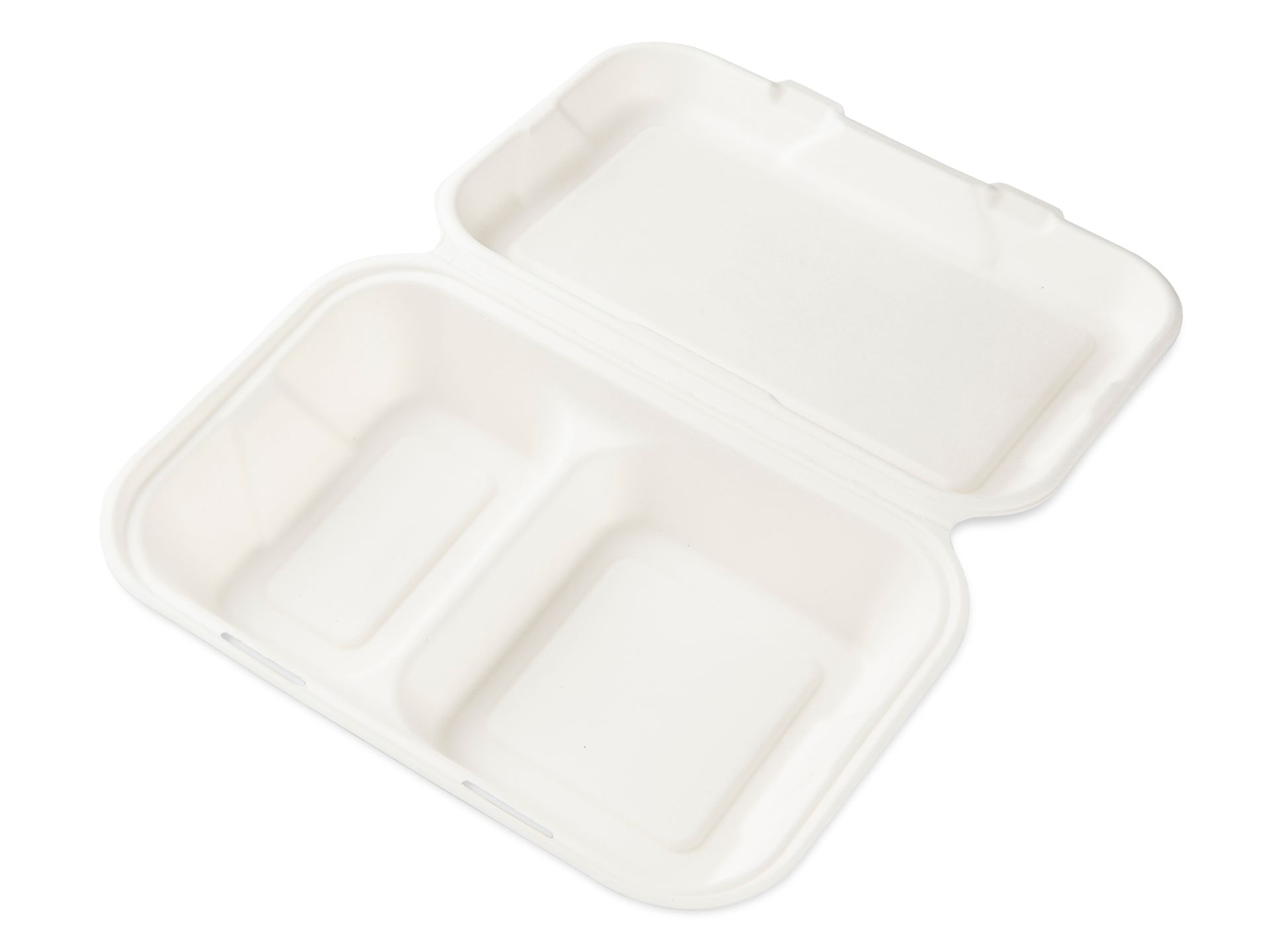 Lunchbox 251x166 _ 2-geteilt Bagasse Lunchbox 2-geteilt Bagasse