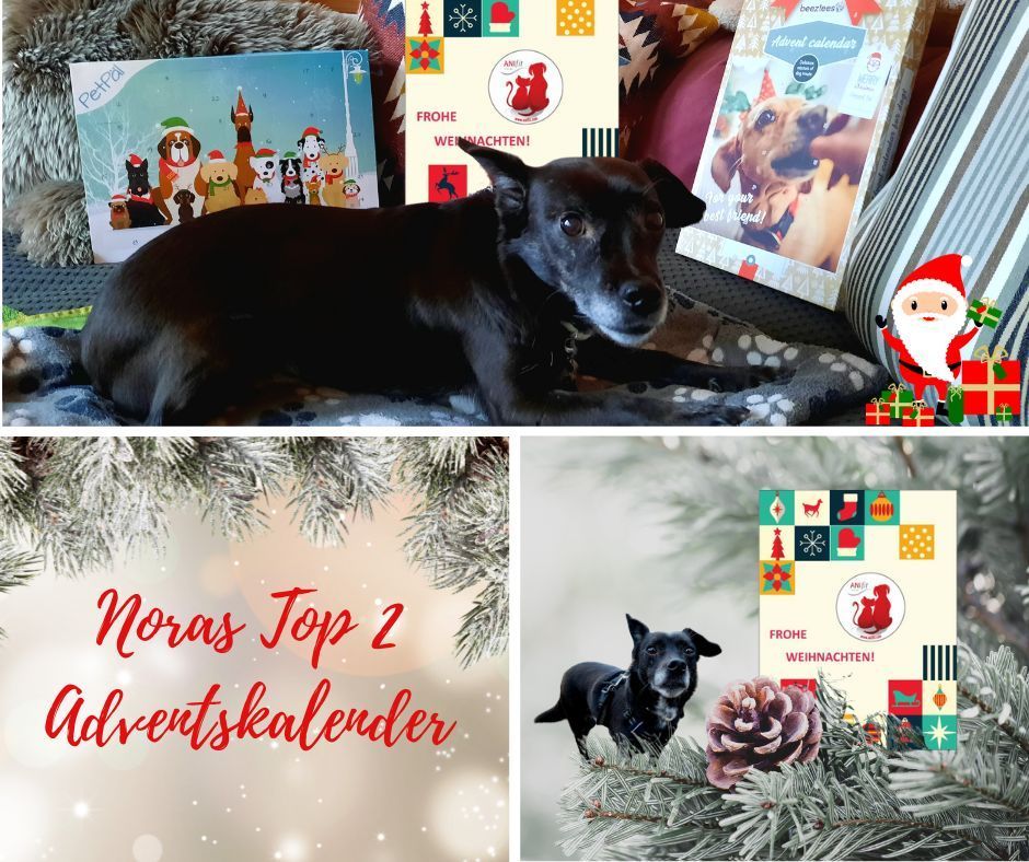 Adventskalender für Hunde