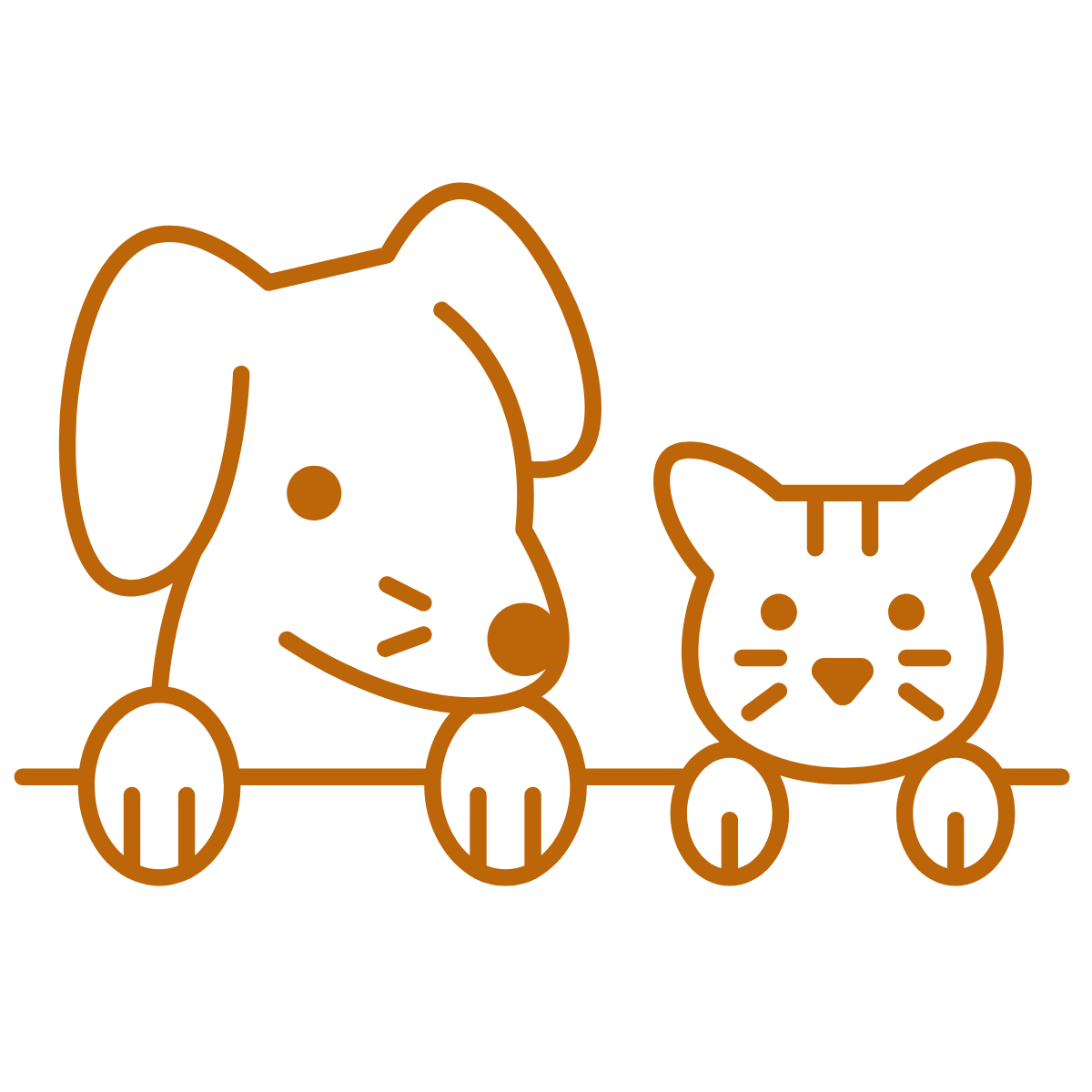 ANIfit-Futterberatung