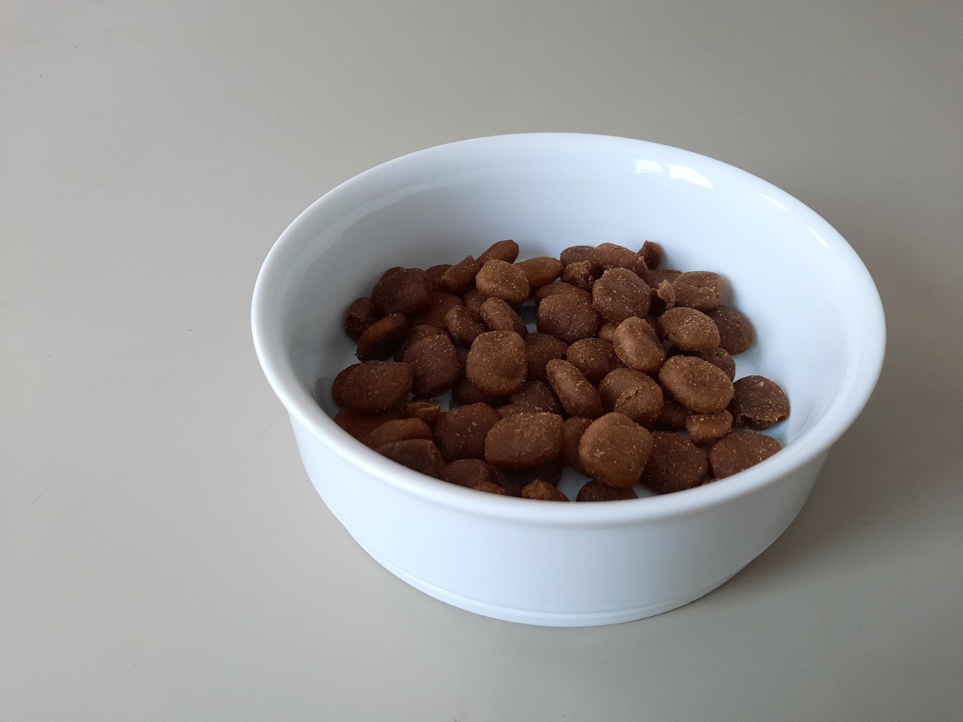 Wolf of Wilderness Mini