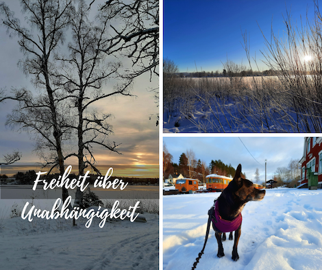 Freiheit über Unabhängigkeit