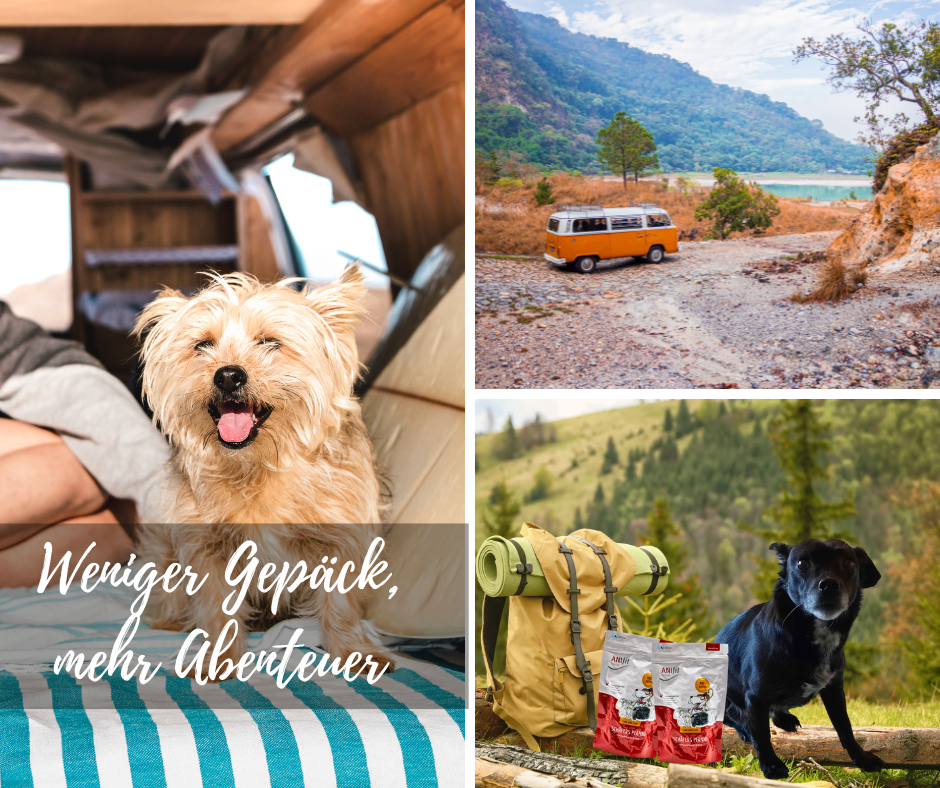 Mit dem Hund auf Reisen