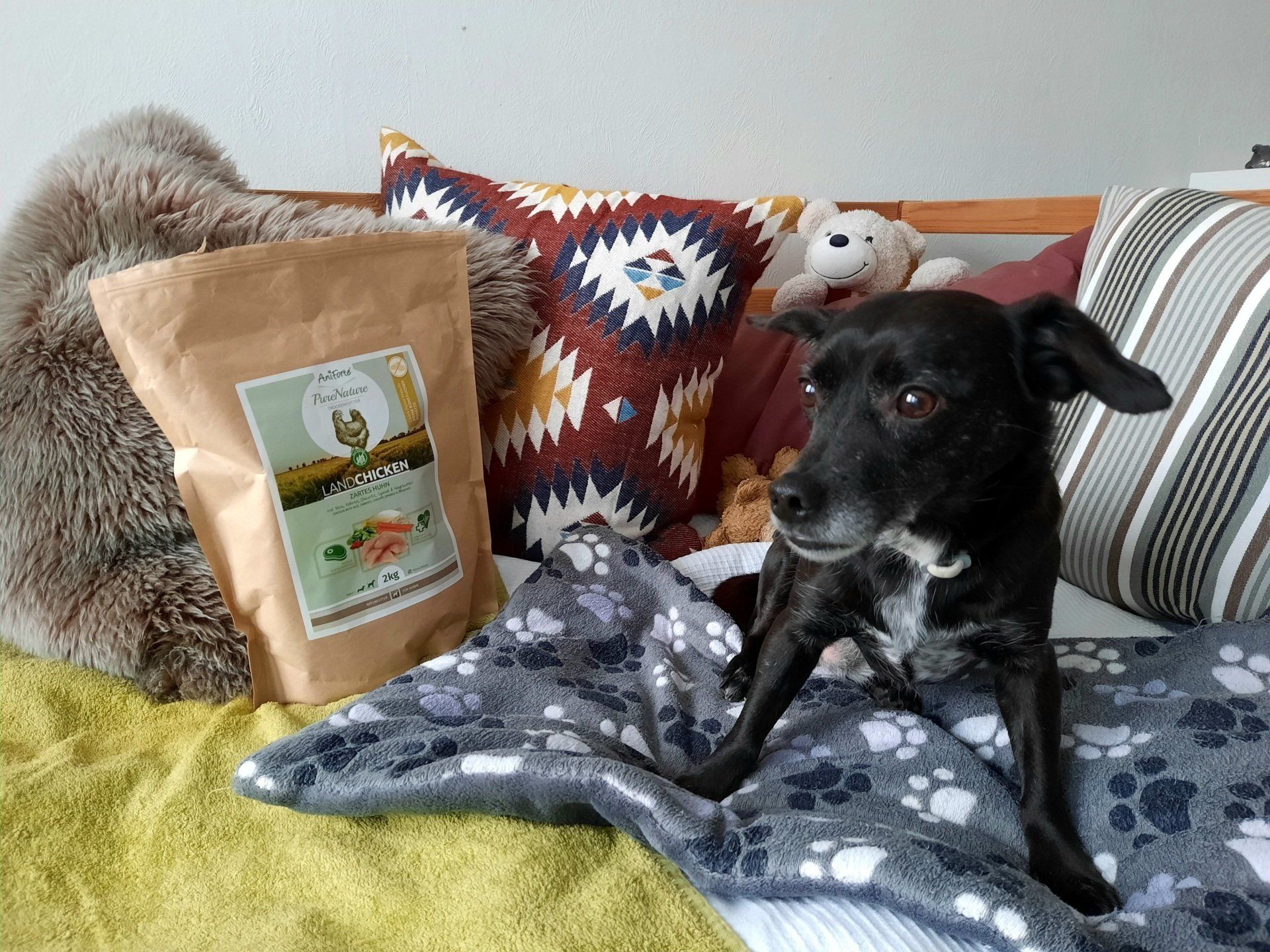 Hund neben einer Packung AniForte Huhn