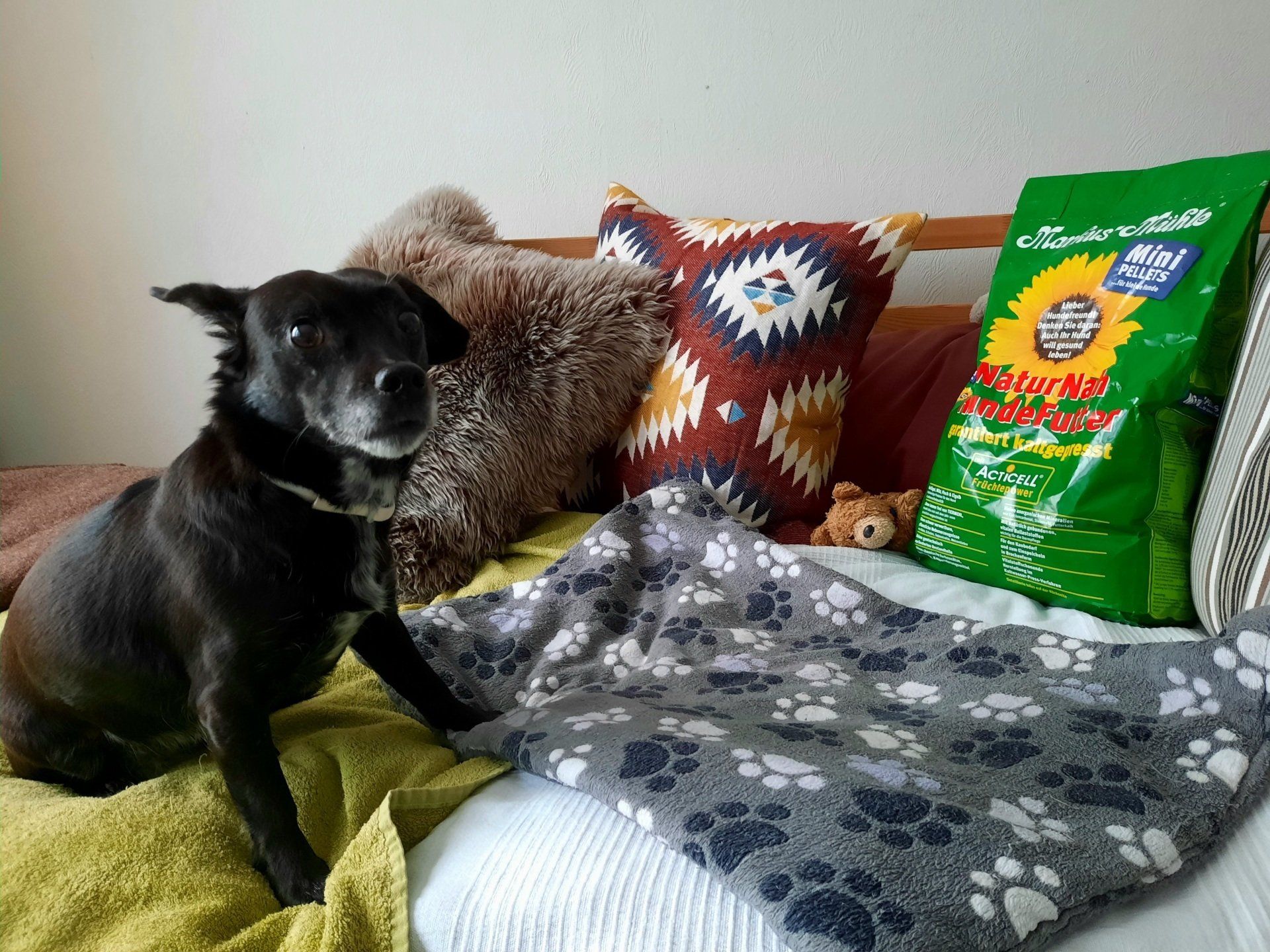Hund nebeneiner Packung Markus-Mühle NaturNah