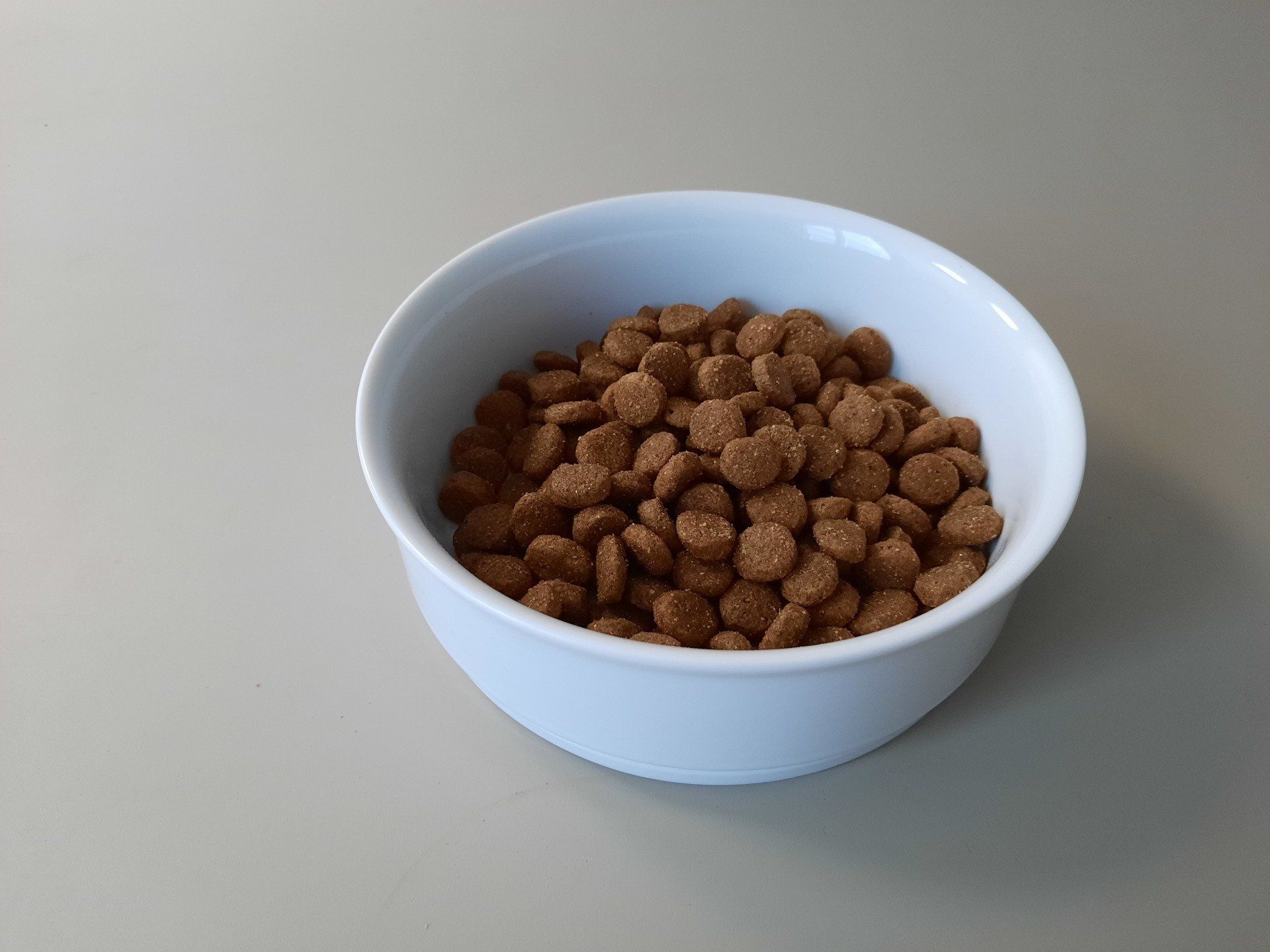 Prima Dog Chicken & Potato im Napf