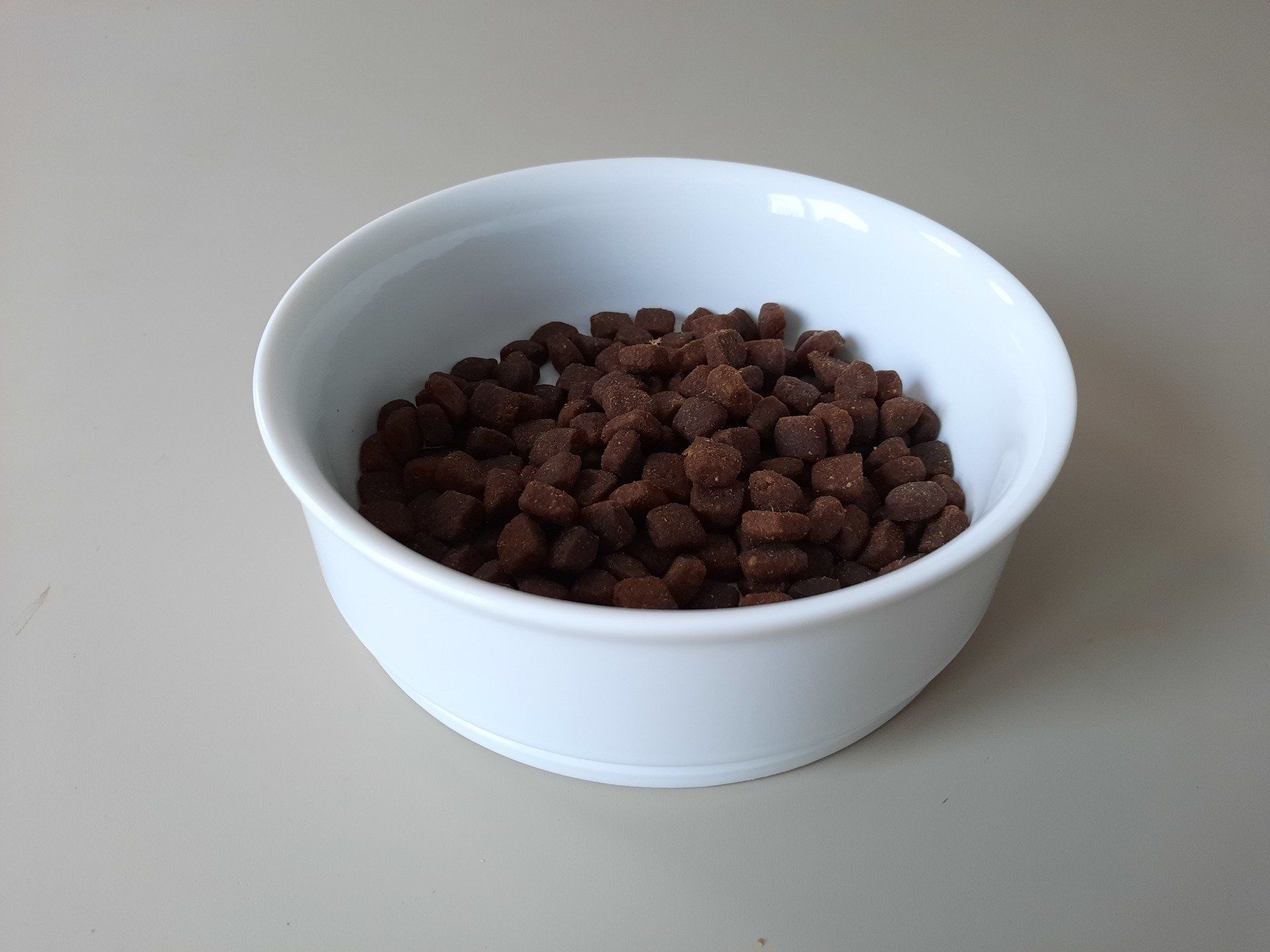 Wolf of Wilderness Mini