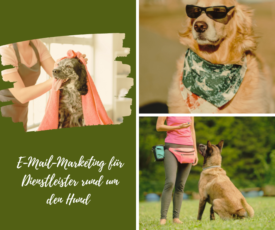 E-mail-Marketing für Dienstleister rund um den Hund