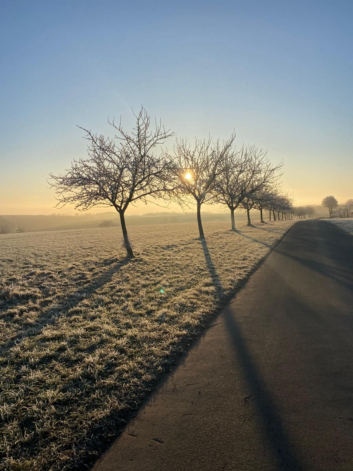 „Lydia 
Ich möchte dir einfach Danke sagen!“
„Lydia, ich habe zZ so eine schwere Zeit…Und du bist mein Anker!“
„Lydia, Ich bewundere deine Geduld“
„Ich wollte dich mal wissen lassen, du hast so eine positive Energie“
„Ich bewunderte dich für deine Lebenseinstellung“
„ich möchte dir nochmals Danke sagen, du hast mich so sehr unterstützt, wieder auf meinen Weg zu kommen! 
„dein Bauchgefühl, DAS Ist der Hammer! Danke, dass ich so etwas erleben und fühlen durfte!“ 
Wowwww
Was!?
Wie!?
Und was mache ich?
Ich sitze hier und mir laufen die Tränen die Wangen runter…
Ich 
bin gerührt 
bin geflasht 
Bin dankbar 
Einfach wowww
Ich möchte euch, die mir solche Nachricht geschickt haben, sagen einfach Dankeschön  
Diese Nachrichten machen so viel mit mir. Vielen lieben Dank!
Zur Zeit sind wir in der Eifel und arbeiten von hier aus. 
Ganz wichtig für mich, mein Leben mit einem kranken Hund, mich immer wieder auf die schönen Momente zu fokussieren. Und glaubt mir, wenn das alles, was ihr mir da schönes schreibt, mich echt berührt. 
Es ist eine tägliche, Entscheidung JA zu sagen. Zu dem was ist. Und bei uns ist es nun nicht mehr die Sache, dass ich meinem Hund eine lockere Leineführung bei zu bringen muss. Sondern ich kann nichts mehr trainieren. (Eigentlich) ja wunderbar.
Und dennoch gibt es auch bei mir Momente, wo ich mir einfach nur die Frage: „WARUM ich?“ stelle. Mein kleiner Neffe hatte diese Frage mal mitbekommen, als ich mit seiner Mutter sprach“.  Er kam um die Ecke und sagte „Lydi, weil DU DAS KANNST! Myla wir lieben dich auch!“
Oh mein Gott, ich kann nur sagen, dieser kleine Mann hat so ein Einfühlungsvermögen. MEGA.
Und soll ich dir noch was sagen: Wir alle haben Einfühlungsvermögen und Bauchgefühl. Nur oft wird es unterdrück, man möchte ja keine Fehler machen und fragt und liest. Und ja, das ist auch gut. Aber die Momente der Stille, kommen in vielen Alltagsleben bei Mensch und Hund zu kurz. 
Hier in der Eifel, kann ich einfach sagen: „los gehen, Gedanken kommen lassen und wieder ziehen lassen. Ja, es ist einfach. Aber der erste Schritt ist, „Ja, ich will etwas verändern“  DANN muss ich erst einmal ins tun kommen und dann in die Umsetzung und dann kann es echt wunderbar werden. Nehmen wir uns doch ein Beispiel an unseren Hunden. „im Hier und jetzt zu leben und nicht uns selber mit Gedanken runterzuziehen“
„ich freue mich, wenn es regnet. Denn wenn ich mich nicht freue, dann regnet es auch“ (Karl Valentin) 
Und ich freue mich auf viele schöne Momente mit dir und deinem Hund. Schreib mir gerne, wir machen einen kostenlosen Telefontermin aus und wir finden, dann was Passendes für euch.
*1:1 Trainings * Intensivtraining * Urlaub mit Hund in der Eifel und auch an der Mosel  und Gruppenstunden sind möglich.
Ich freue mich auf deine Nachricht:
Gerne an
info@lydia-mueller.de oder per WhatsApp an 0152/56098753