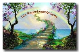 tierbestattung regenbogenbrücke Meine Biene