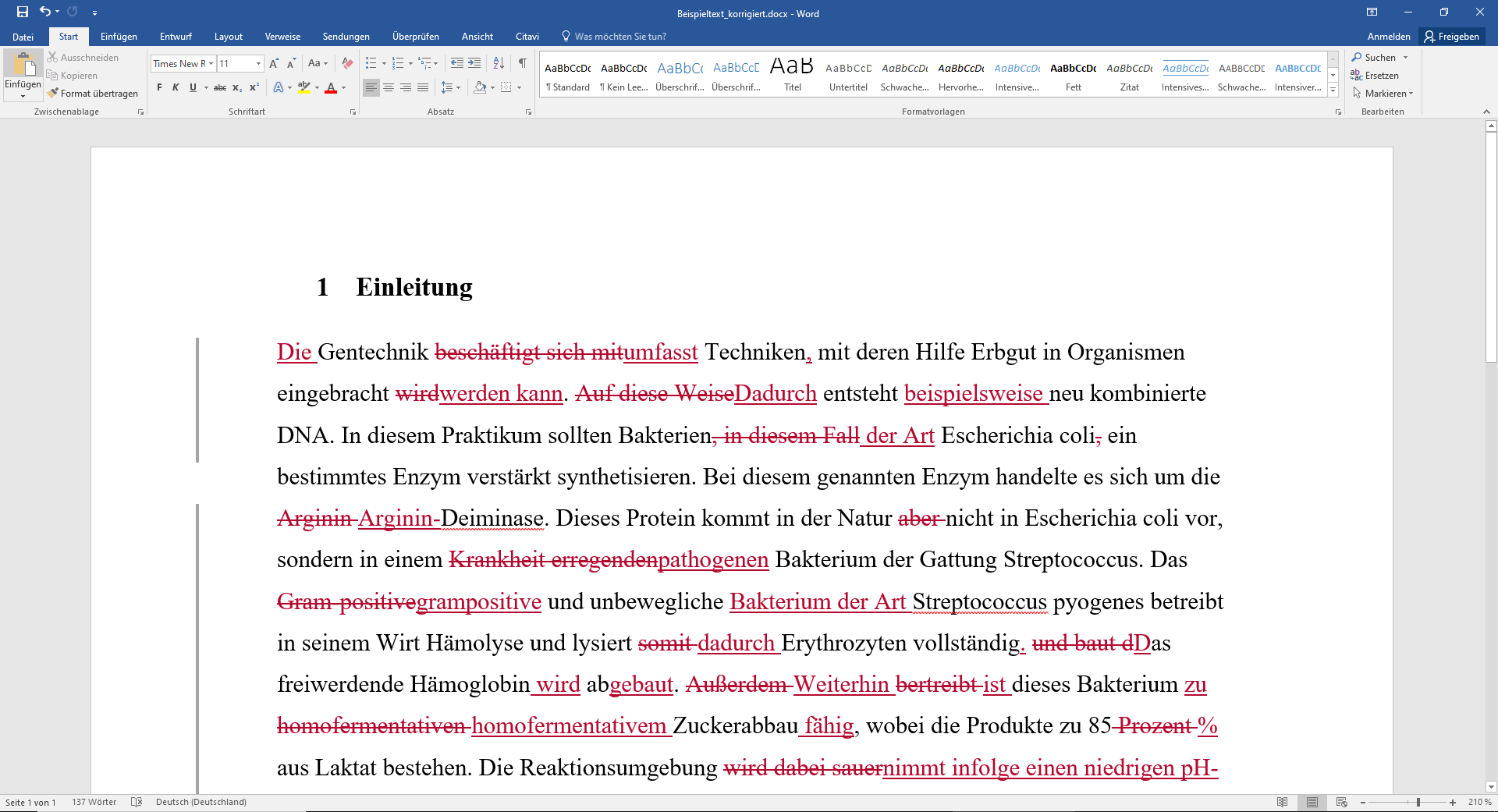 Lektorat eines Praktikumsberichts Rostock