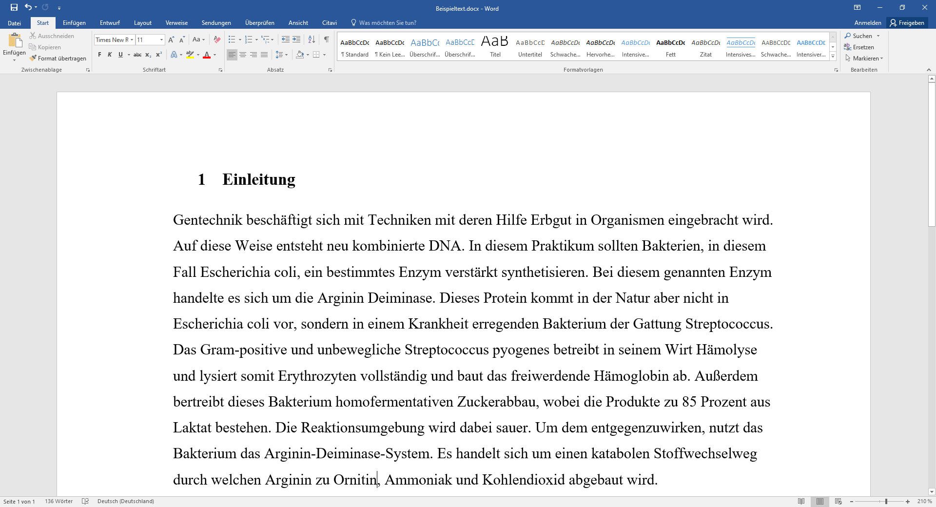 Lektorat eines Praktikumsberichts Rostock