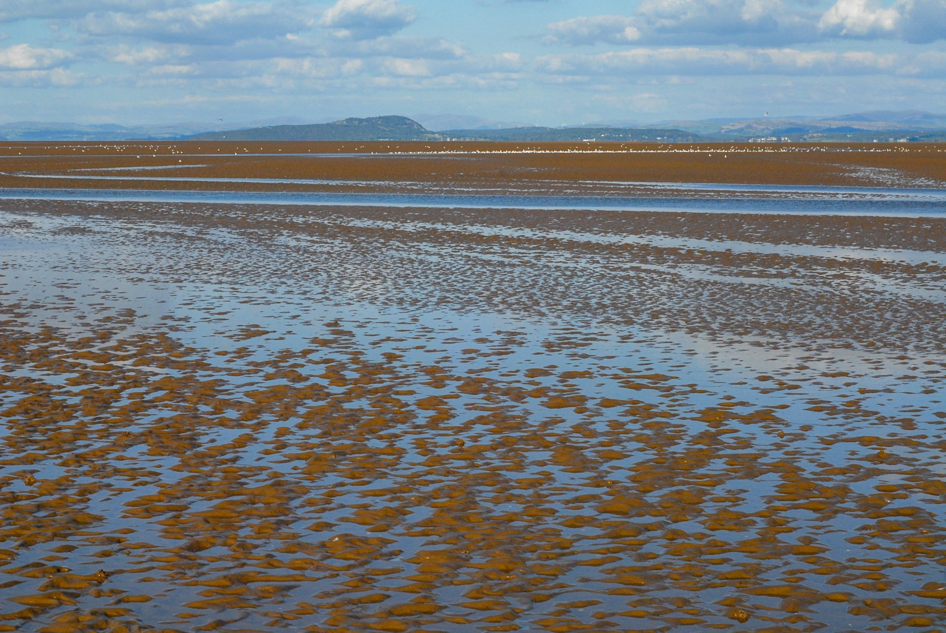 morecambe bay looking towards arnside knott