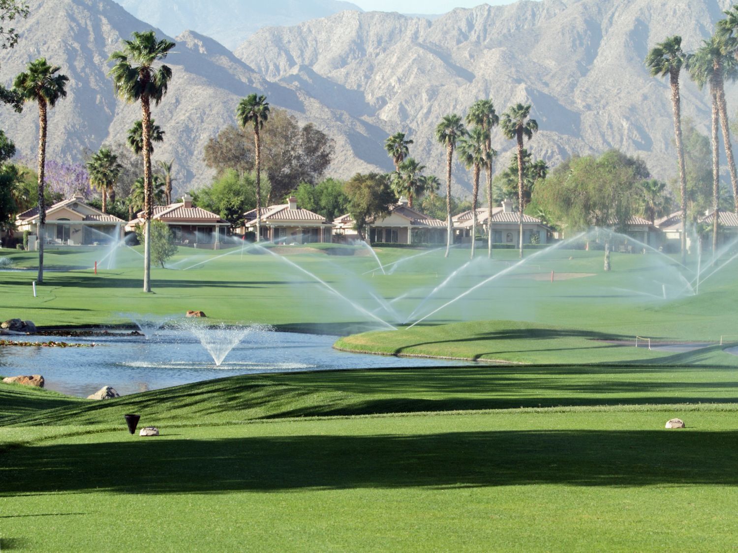 Nuestra experiencia de 20 años dedicados al sector, es lo que nos permite realizar un trabajo eficaz y de calidad.