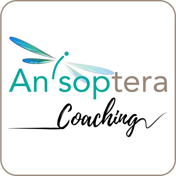 Anisoptera-Coaching-logo