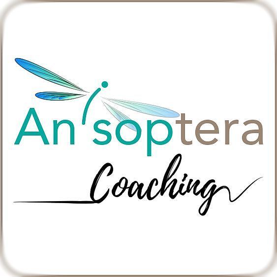 Anisoptera-Coaching-logo