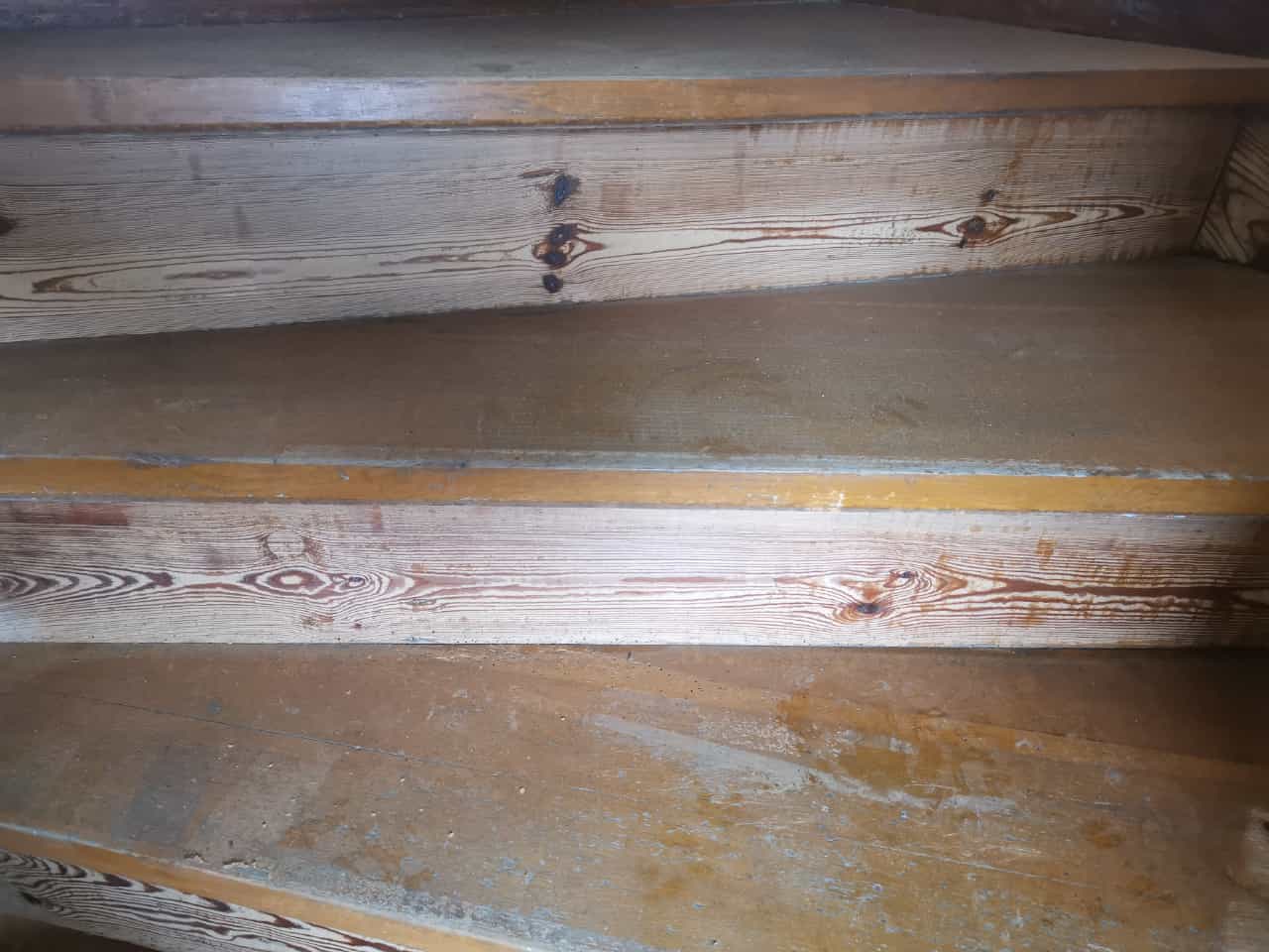 Eichentreppe Setzstufe behandelt