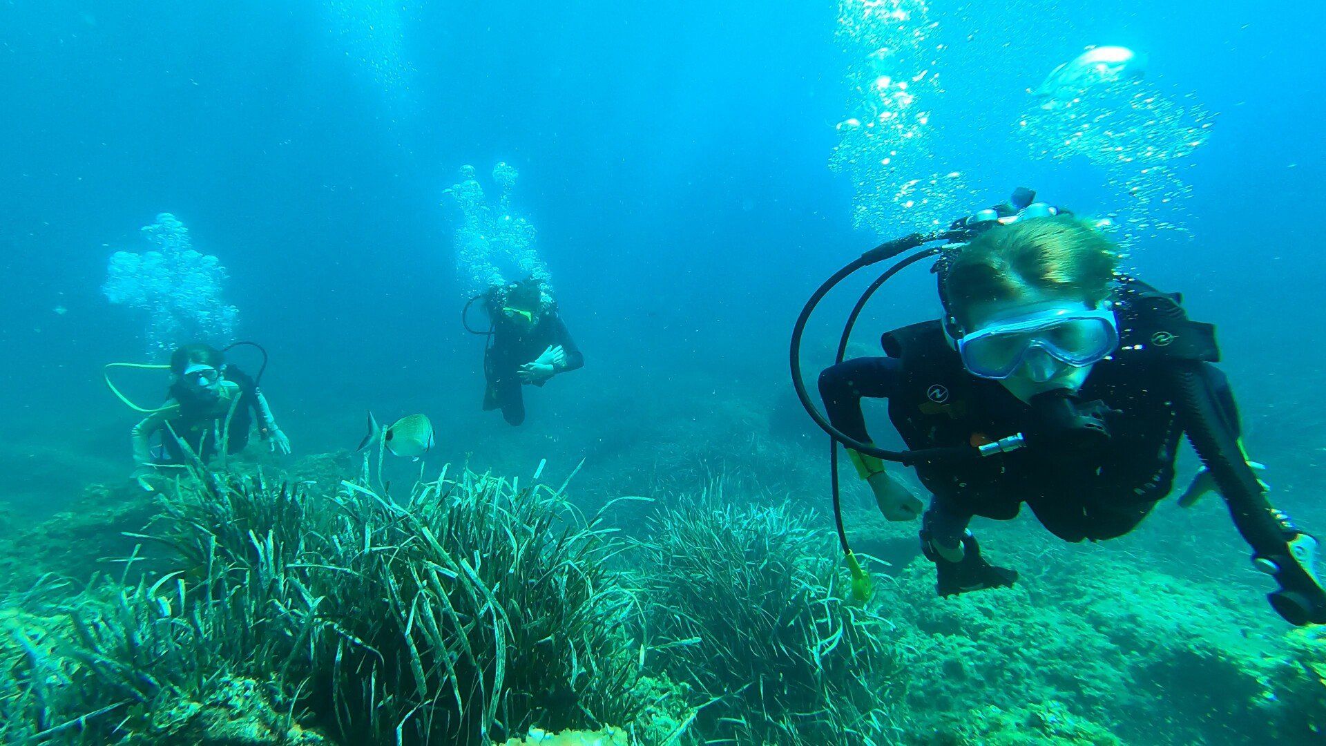 Plongée bouteille débutant Côte D'Azur