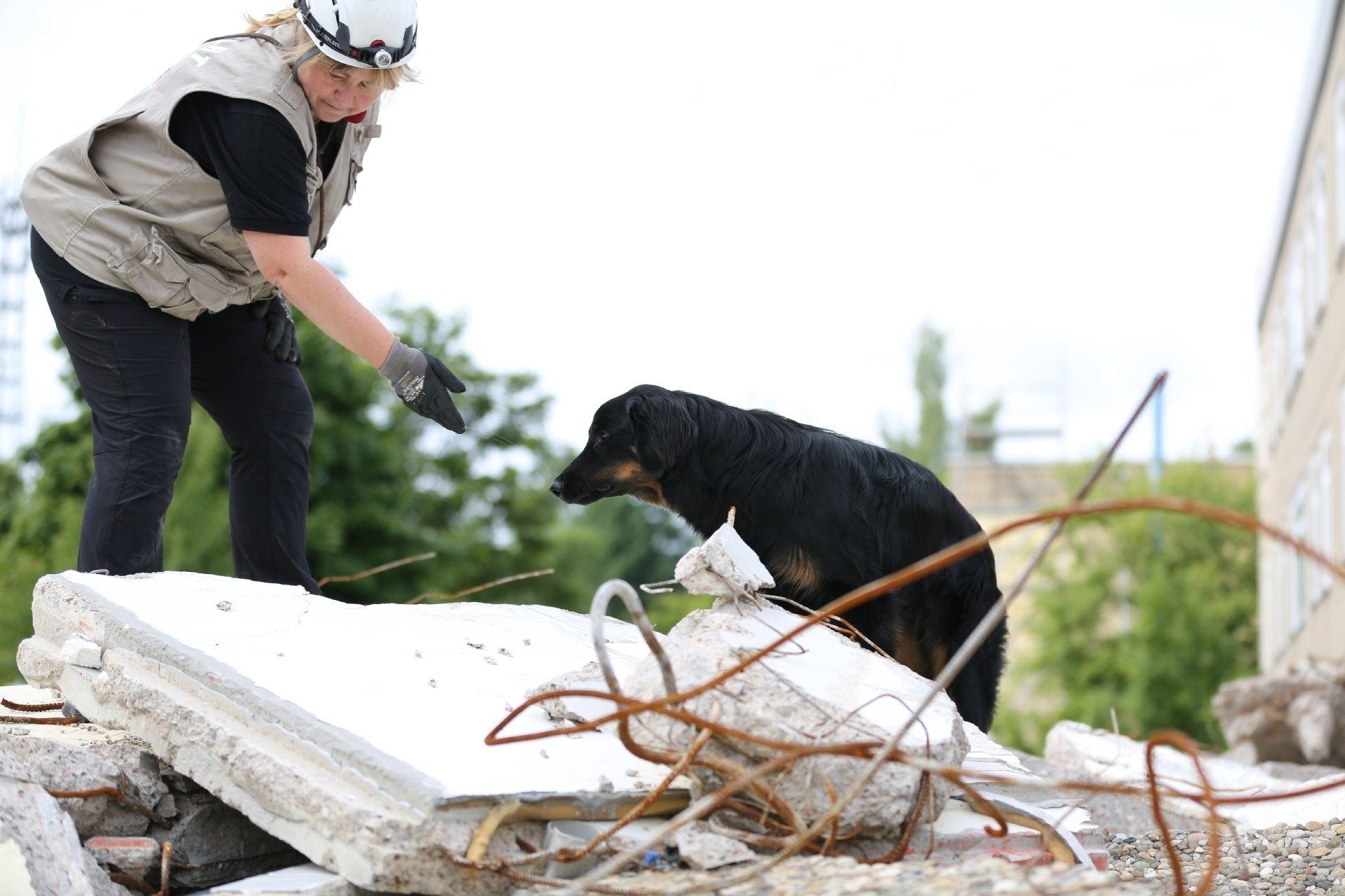 Anisa auf den Trümmern in Mosbach Rettungshund
