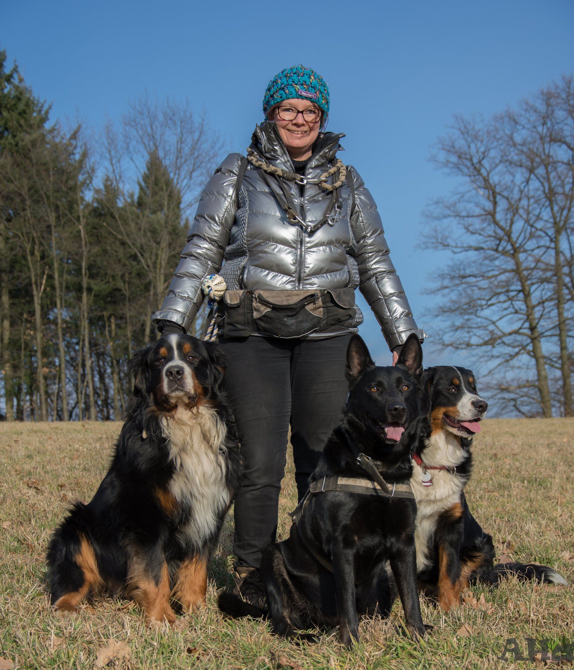 Odenwald, Fotoshooting, Liane Harth, Dakito von den Sandbären, Anouk, Jolie von den Sandbären,  Eppler Sandpfoten