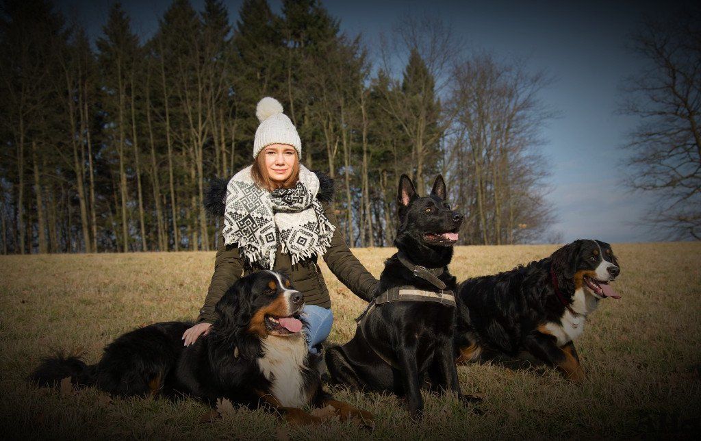 Unsere Tochter Lisa mit unseren Kaltnäschen Berner Sennenhunde; Eppler Sandpfoten; Sandbären; Dakito; Jolie; Anouk;
