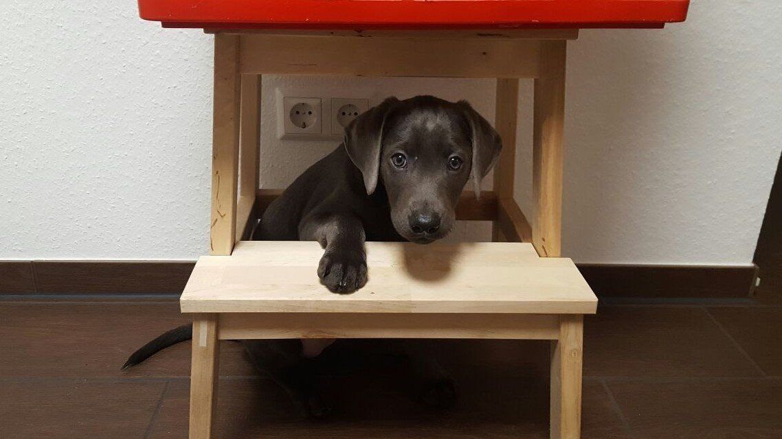 Ernährung im Wachstum